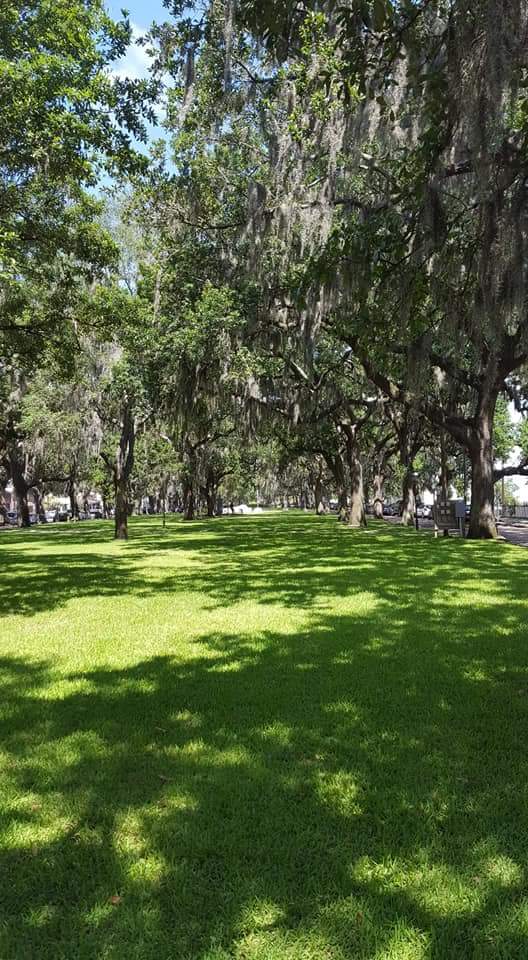 FB_IMG_1531187298601